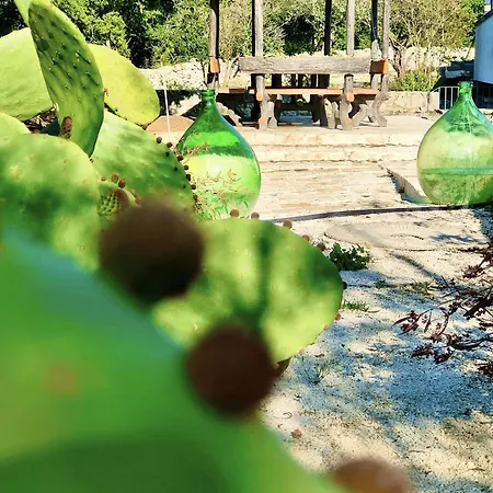 Hébergement de vacances Trulli Allegretti