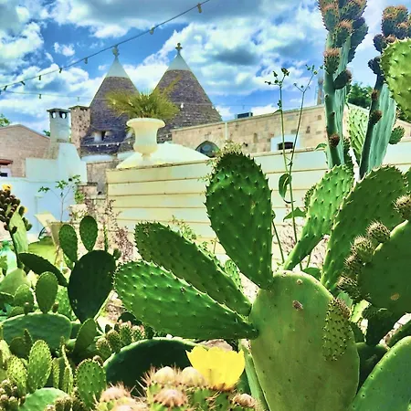 Trulli Allegretti *