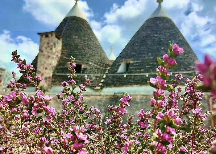 Trulli Allegretti נוצ'י